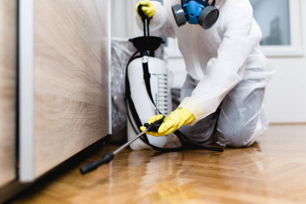 Best Termite Control Services  in Huntsville, TN