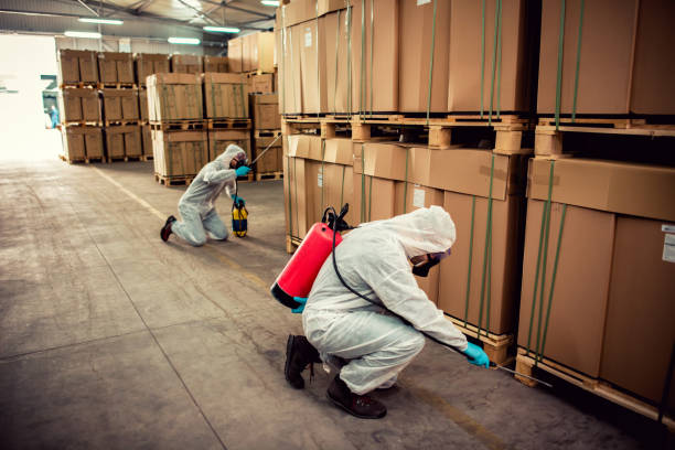 Best Pest Control Treatment  in Huntsville, TN