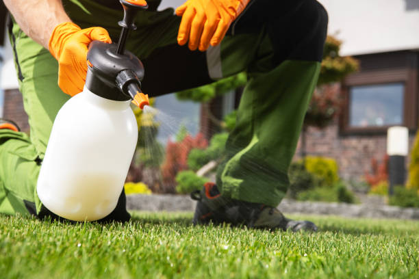 Best Emergency Pest Control  in Huntsville, TN
