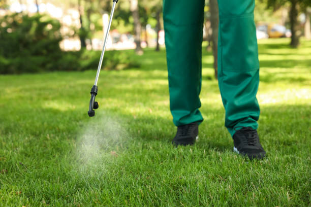 Best Pest Prevention Services  in Huntsville, TN