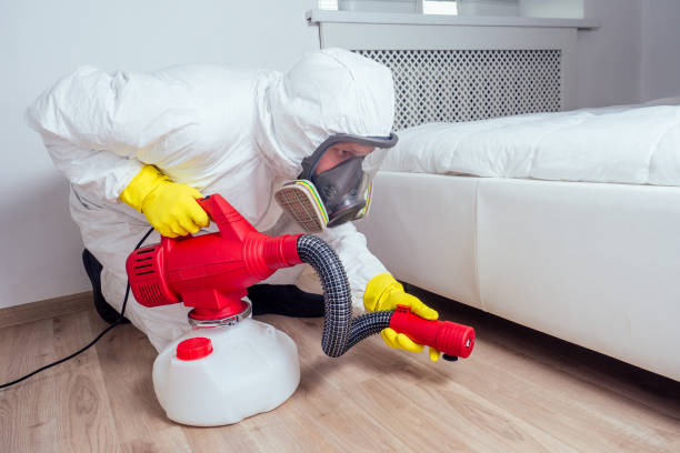 Best Flea Control Services  in Huntsville, TN