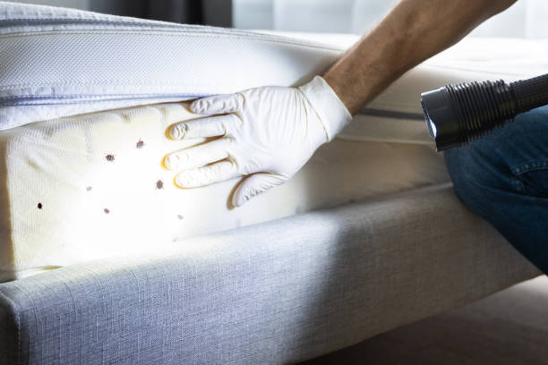 Best Wildlife Control Services  in Huntsville, TN