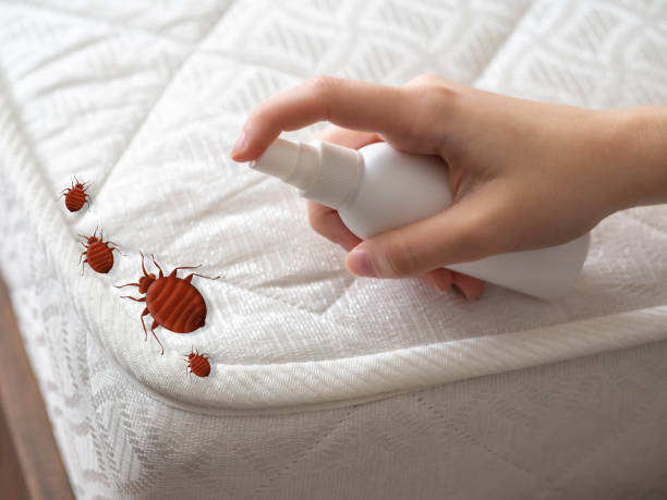 Best Pest Control Near Me  in Huntsville, TN
