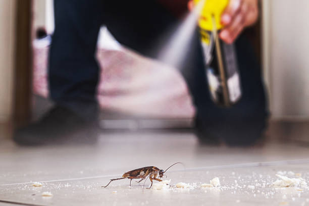 Best Pest Inspection Near Me  in Huntsville, TN