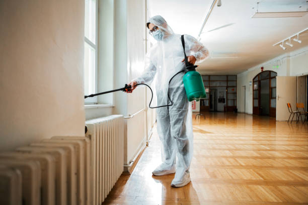 Flea Control Services in Huntsville, TN