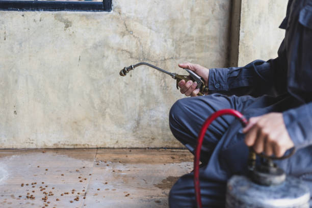 Best Pest Removal Services  in Huntsville, TN