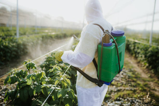 Best Affordable Pest Control Services  in Huntsville, TN